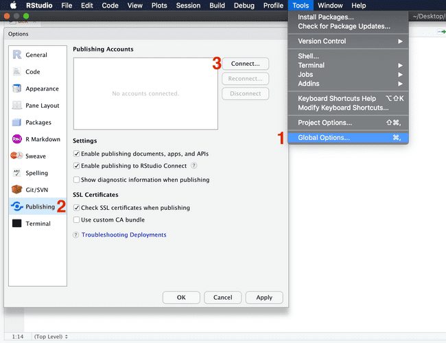 RStudio Connecting