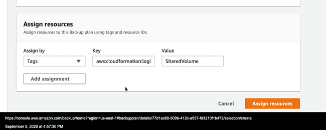 assign backup resources